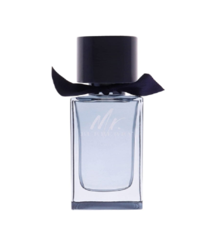 Burberry Mr Burberry Indigo EDT 100mL